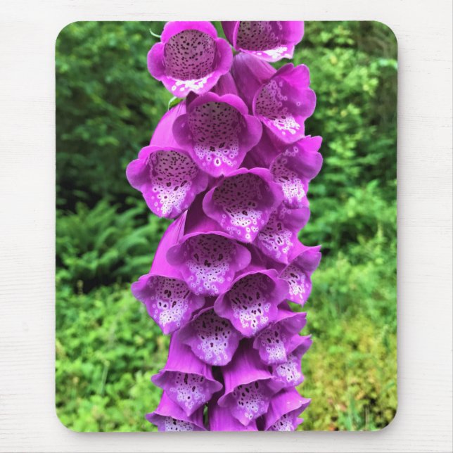 Tapis De Souris Foxglove Flowers, Oregon (Devant)