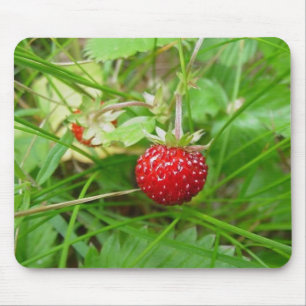 Tapis De Souris Fraisier commun 1