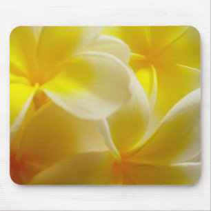 Tapis De Souris Frangipanis