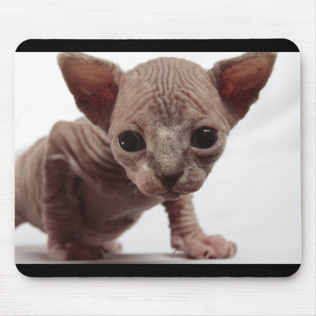 Tapis De Souris Freaky Cute Furless (Devant)