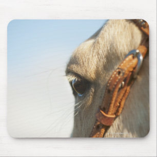 Tapis De Souris Frein de cheval