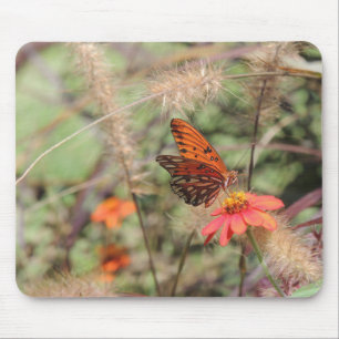 Tapis De Souris Fritillaire du Golfe sur Zinnia