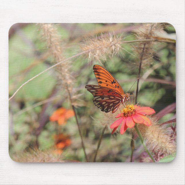 Tapis De Souris Fritillaire du Golfe sur Zinnia (Devant)