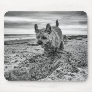 Tapis De Souris Frontière Terrier creusant, photographie, Mousepa