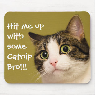 Tapis De Souris Funny Cat Photo Catnip Caption