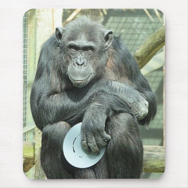 TAPIS DE SOURIS FUNNY CHIMPANZEE (Devant)
