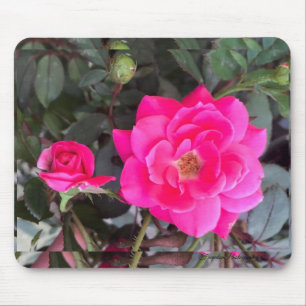 Tapis De Souris Fuscia Rose