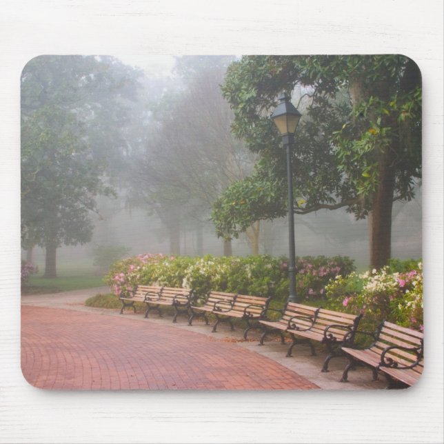 Tapis De Souris GA Savannah, Azaleas le long du trottoir en brique (Devant)