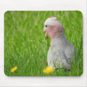 Tapis De Souris Galah Mousepad