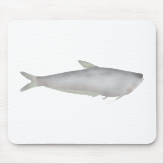 Tapis De Souris Gangetic Hairfin Anchovy 