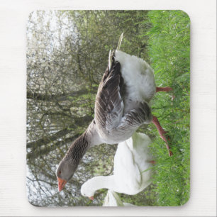 Tapis De Souris Gänse auf einer Wiese