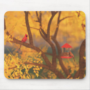 Tapis De Souris Gardien d'automne Mousepad