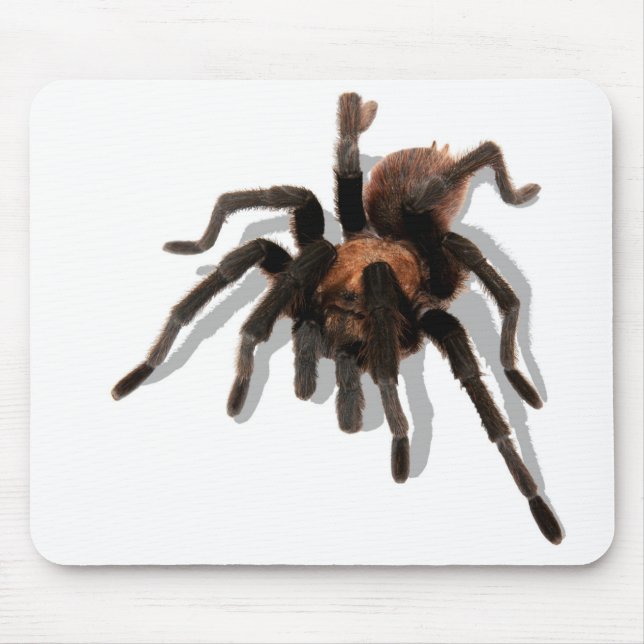 Tapis De Souris Gardien Tarantula (Devant)