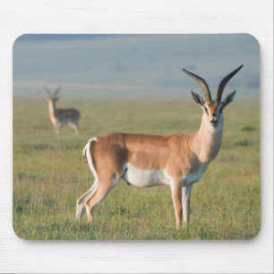 Tapis De Souris Gazelle de Grant, cratère de Ngorongoro, Ngorongor