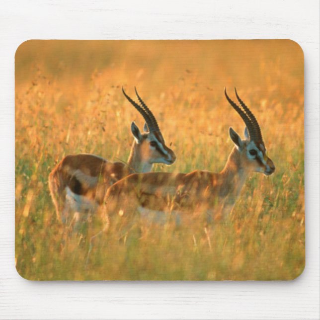 Tapis De Souris Gazelle de Thomson (Devant)