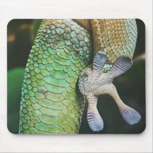 Tapis De Souris Gecko Feet