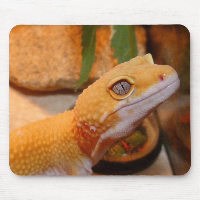 Tapis De Souris Gecko jaune léopard (Devant)