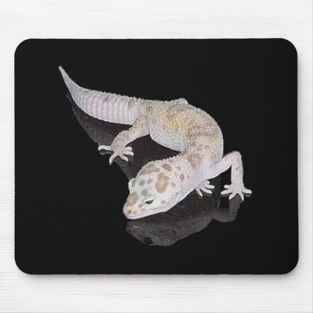 TAPIS DE SOURIS GECKO MOUSEPAD DE LÉOPARD D'ENIGMA ALBINOS (Devant)