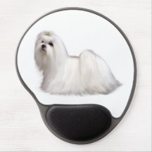 Chien maltais