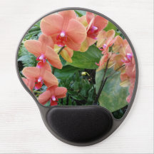 Orchidées de pêche sur une plaque de souris Gel