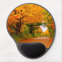 Paysage d'automne des arbres dans les zones