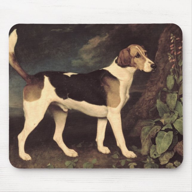 Tapis De Souris George Stubbs | Ringwood, un fox-hound de (Devant)