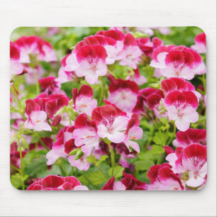 Tapis De Souris géranium