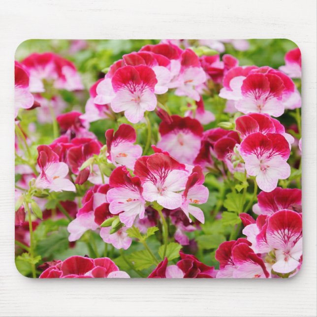 Tapis De Souris géranium (Devant)