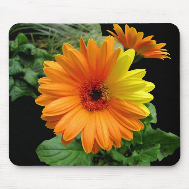 TAPIS DE SOURIS GERBER DAISY-MOUSEPAD (Devant)