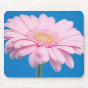 Tapis De Souris Gerbera rose Mousepad