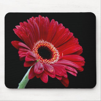 Tapis De Souris Gerbera rouge Mousepad