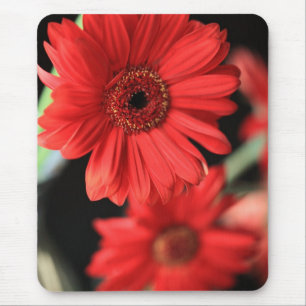Tapis De Souris Gerberas