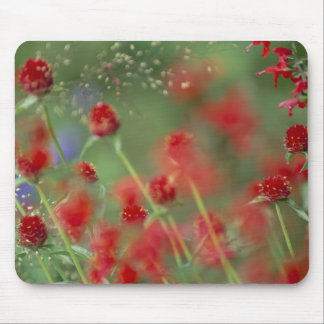 Tapis De Souris Ghomphera_zazzle de P2290C_strawberry