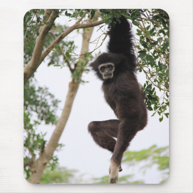 Tapis De Souris Gibbon Swing from Tree (Devant)