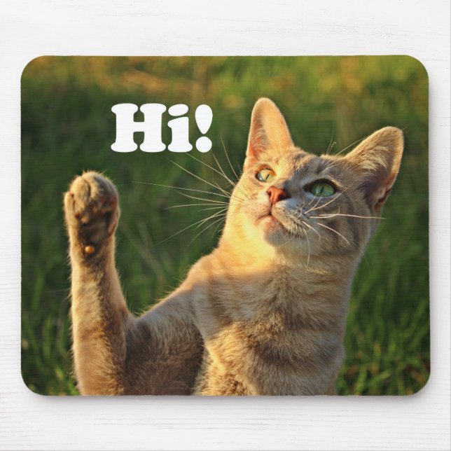 Tapis De Souris Ginger Cat Dit Bonjour ! (Devant)