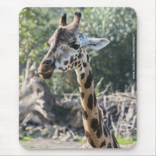 Tapis De Souris Girafe