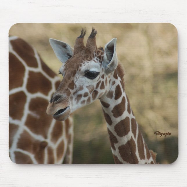 Tapis De Souris Girafe 02 de bébé (Devant)