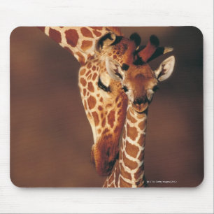 Tapis De Souris Girafe adulte avec le veau (camelopardalis de