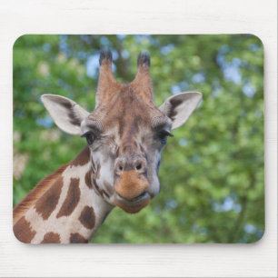Tapis De Souris Girafe attentive