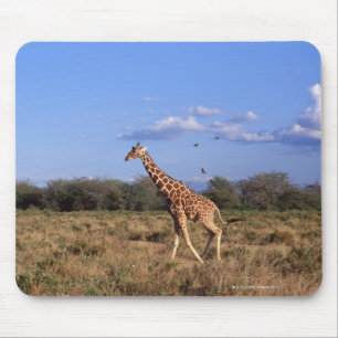 Tapis De Souris Girafe réticulée 2