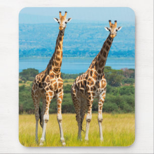 Tapis De Souris Girafes dans la savane, Ouganda