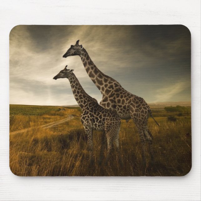 Tapis De Souris Girafes et le paysage (Devant)