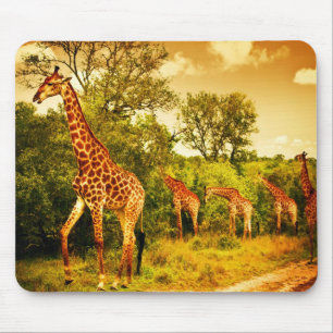 Tapis De Souris Girafes sud-africaines