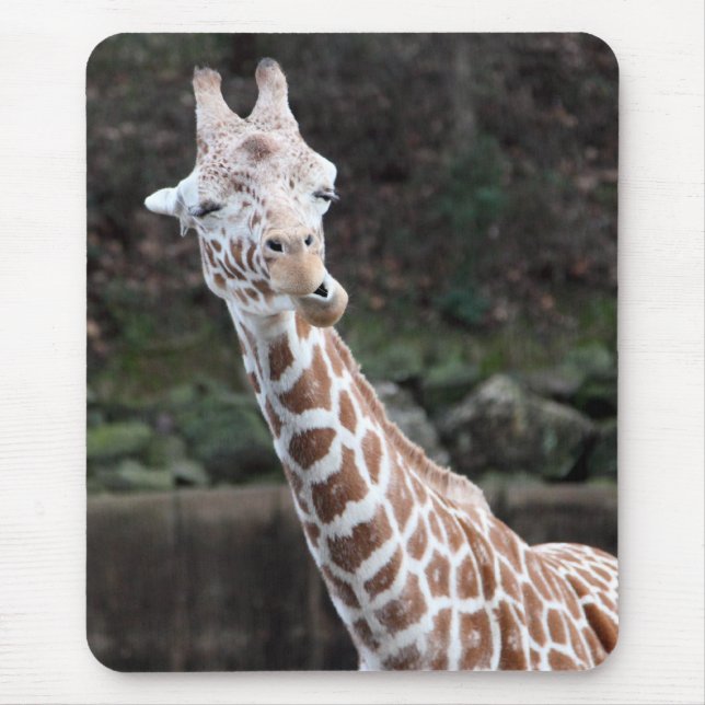 Tapis De Souris Giraffe (Devant)