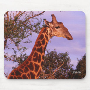 Tapis De Souris Giraffe Mousepad