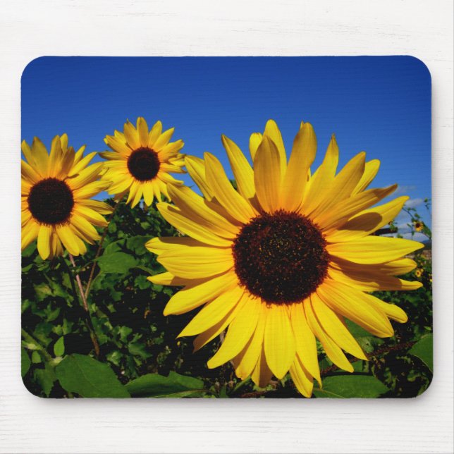 Tapis De Souris Gisement Mousepad de tournesol (Devant)