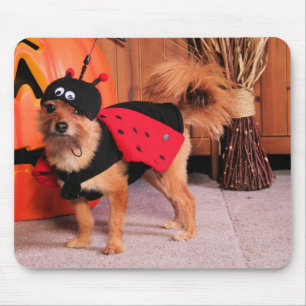 Tapis De Souris Gizzy - YorkiePom - Burbridge