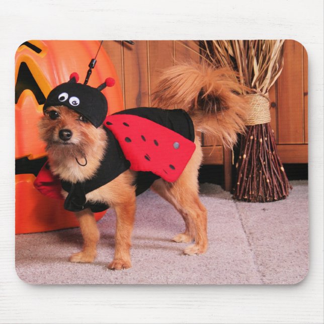 Tapis De Souris Gizzy - YorkiePom - Burbridge (Devant)