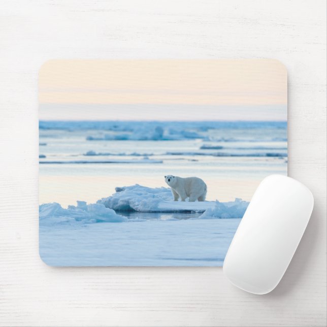 Tapis De Souris Glace et neige | Ours polaire Iceberg Norvège (Avec souris)