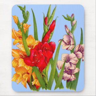 Tapis De Souris gladiola gladiolus
